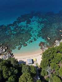 🌊 8 Days of Island Bliss: Bohol, Siquijor & Moalboal Summer Itinerary