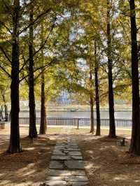 🌳 물빛과 바람이 머무는 곳, 동탄 호수공원 🌊🌿