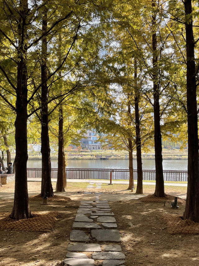 🌳 물빛과 바람이 머무는 곳, 동탄 호수공원 🌊🌿