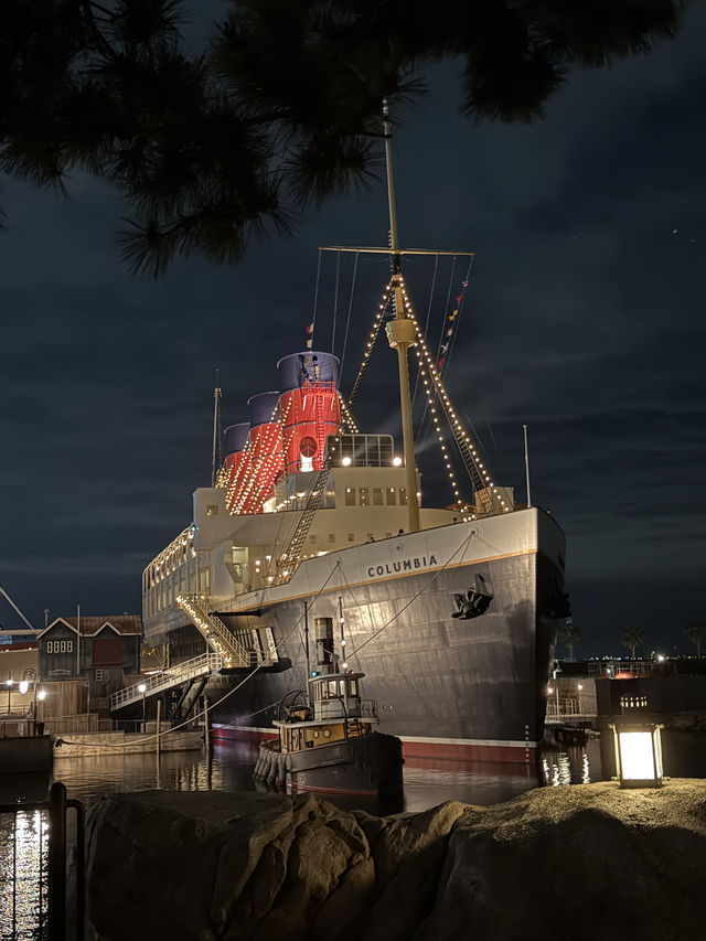 An Honest Review for DisneySea.