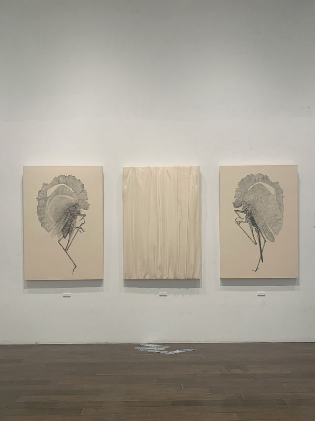 🎨【石川県・金沢｜金沢21世紀美術館】
