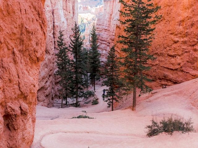 Navajo Loop and Queens Garden Trail: A popular hiking route in Utah!