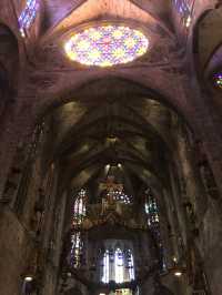 【スペイン】息を呑む美しさパルマ大聖堂⛪️