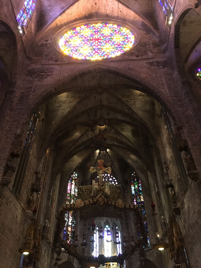 【スペイン】息を呑む美しさパルマ大聖堂⛪️