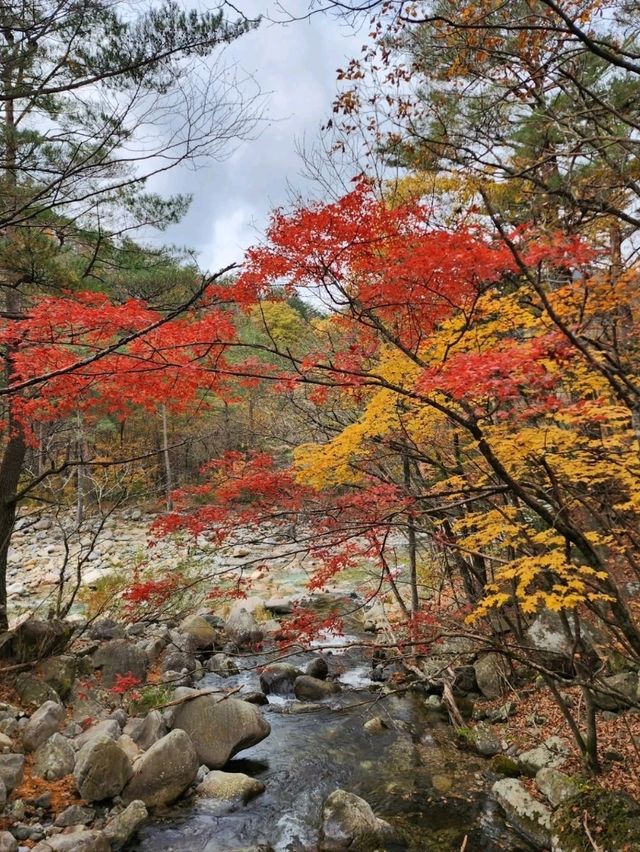 Zen Vibes and Mountain Vibes at Baekdamsa