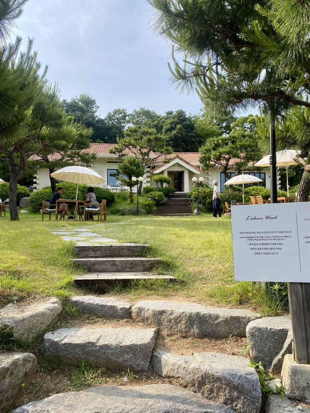 🌲 숲속 감성 그대로, 고양 신상카페 ‘로더우드 L’odeur Wood’