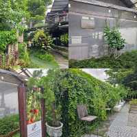 🥬 สวนผัก โอ้กะจู๋ [สันทราย] ● เชียงใหม่ ●