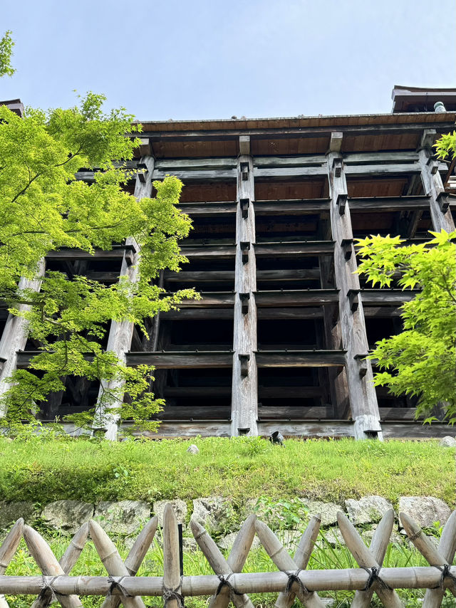 世界遺產‧清水寺（二年坂～三年坂)