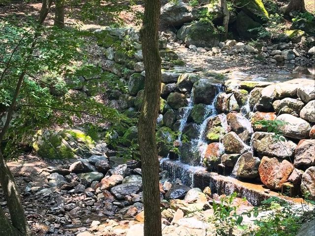Hike, Big Views, Zero Regrets