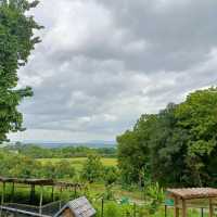 Bonanza Exotic park