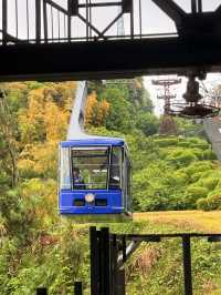 松山｜3個家族4種家徽 多次火災重建的機關巧妙的松山城 