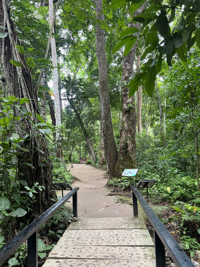 LUANGPRABANG 