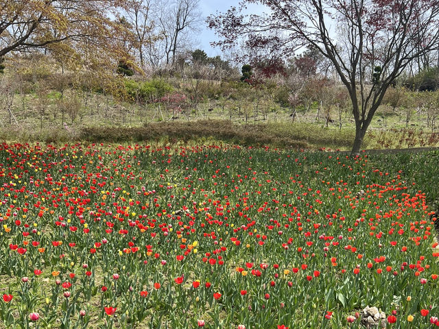 아산여행