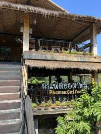 ไปจิ๊บกาแฟนั่งดูป่าเขียวชะอุ่ม ดอยผาหมีหน้าฝนกัน ☘️