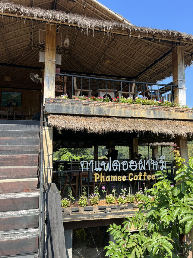 ไปจิ๊บกาแฟนั่งดูป่าเขียวชะอุ่ม ดอยผาหมีหน้าฝนกัน ☘️