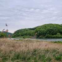 Chungju Forest & Hot Spring Feels