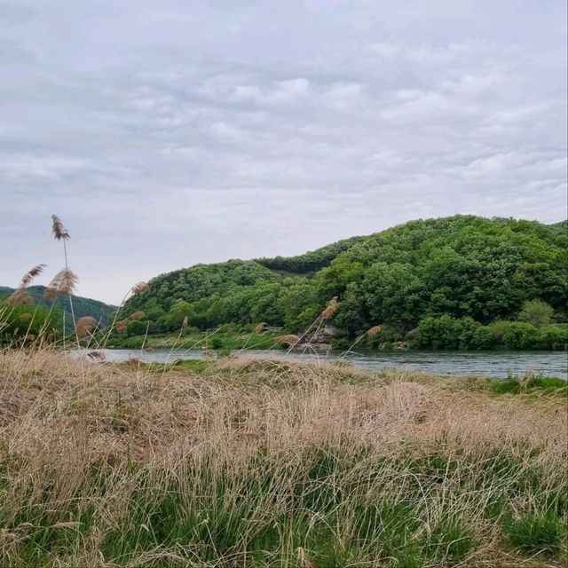 Chungju Forest & Hot Spring Feels
