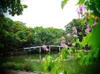 自然の美しさと静けさを感じる旅、スリナーク・クアンカン植物園へようこそ🌿🌺