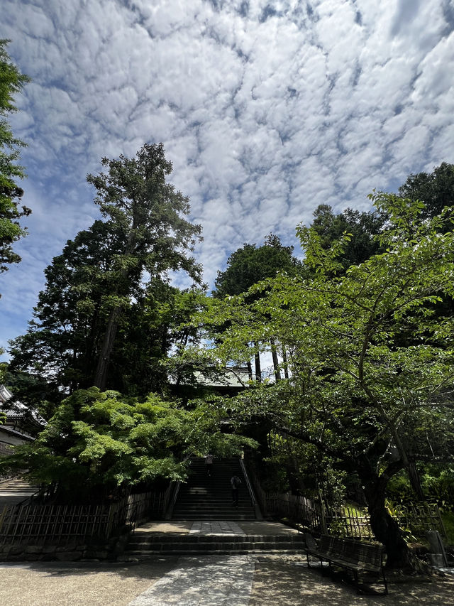 円覚寺って、“禅のお寺”って聞くけど…正直、何すればいいの？🇯🇵✈️🌎