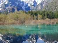 三国文化が交差する、自然の楽園カリンシアへ🌲🌍 #CarinthiaTriangle #オーストリアの秘境 #ヨーロ