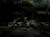 Tomb Raider Temple