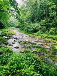 Walking Through the Water Stream at Zhangjiajie National Forest Park