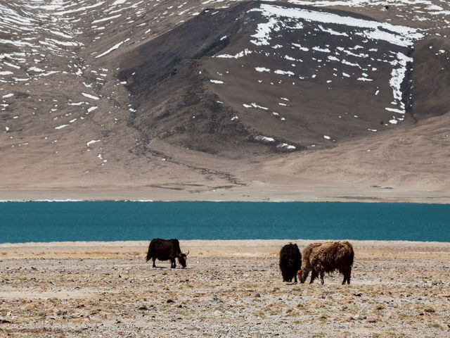 EBC (MT.Qomolangma base camp) 