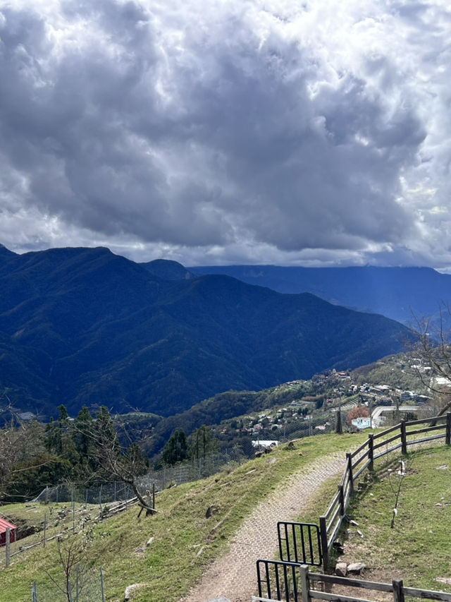 🌿台中清境農場｜台版紐西蘭🐑⛰️