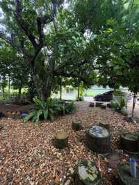 สะท้อน 2557 คาเฟ่ - 🍵 คาเฟ่ พังงา