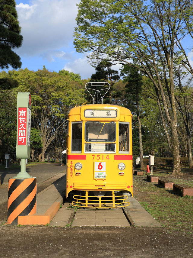 【東京🇯🇵】昔にタイムスリップ？東京で過ごす落ち着いた1日プラン