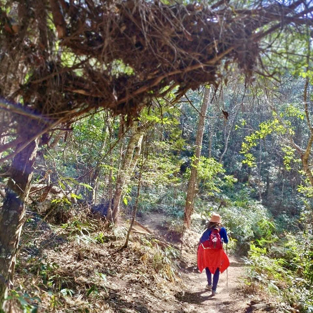 谷關七雄～東卯山