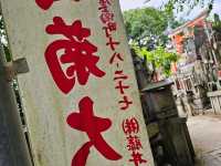Path of a Thousand Gates: Journey Through Fushimi Inari