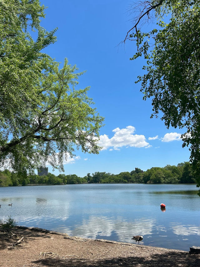 🌳Prospect Park 遊記｜布魯克林人的中央公園