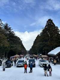 走進北國神域！北海道神宮四季皆美，冬雪中的參拜體驗絕對神聖又浪漫⛩️❄️🌸 
