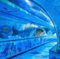 SEALIFE Busan Aquarium: An Immersive Underwater Adventure