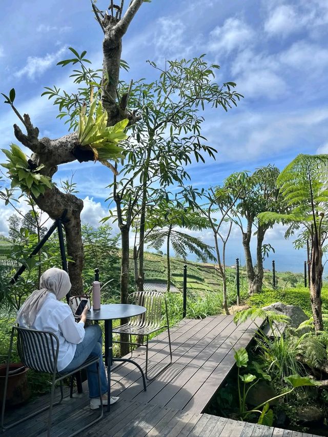 lembahmanah_kopi