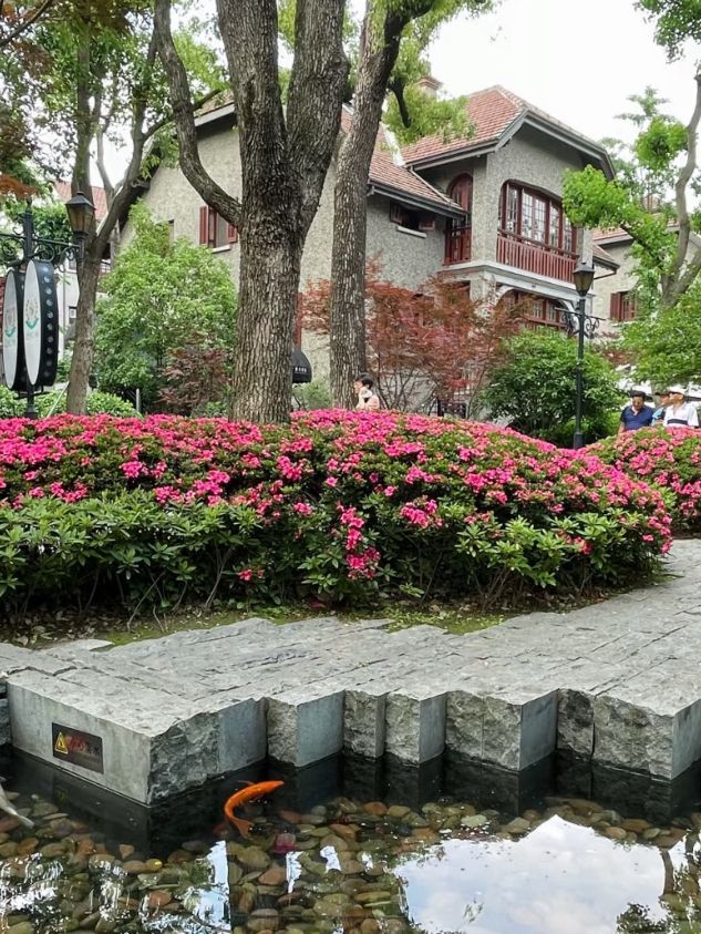🇨🇳被韓國觀光客擠爆的法租界