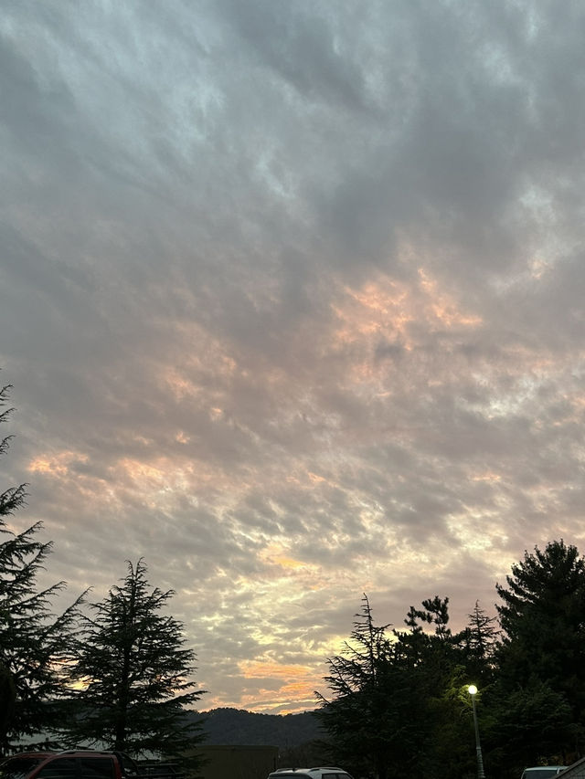 울산 작천정 계곡 + 황금성 중화요리
