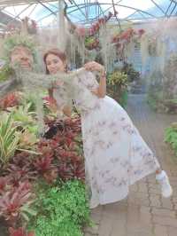 สวนพฤกษศาสตร์สมเด็จพระนางเจ้าสิริกิติ์ เชียงใหม่