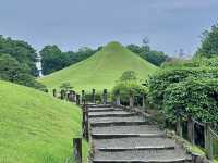 Kumamoto's Suizenji Garden: Matcha-Filled Even in the Rain! ☔️🍃