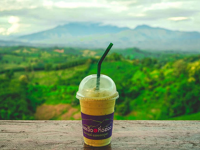 自然に抱かれた絶景カフェで、深呼吸してひと息🌿☕ ザ・ビューで心も空もリセット
