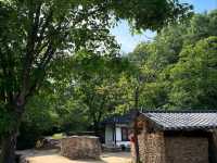 Live Your 'Little Forest' Dream