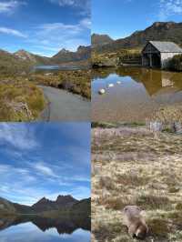 TASMANIA 8D7N