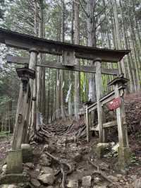 【埼玉⛰️】関東最強のパワースポット三峯神社で登山🧗