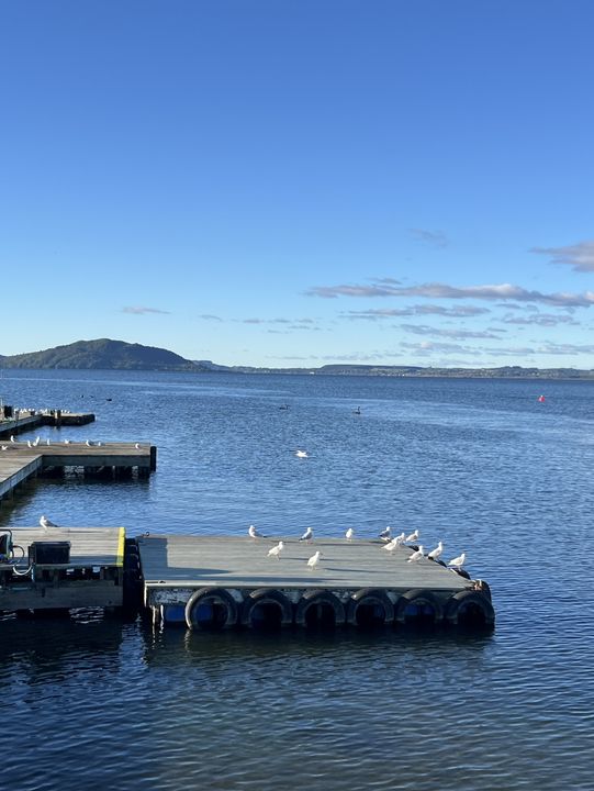 💙🦢 New Zealand’s Lake Days – Where the Sky Meets the Water