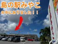 【沖縄/宮古島】宮古島来たならカツオを食べなきゃもったいない！！