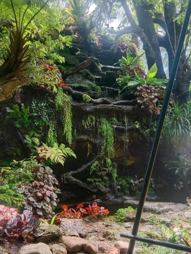 อเมซอนคาเฟ่ที่สวยเหมือนป่าจริง