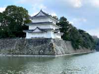 Echoes of the Past at Nagoya Castle