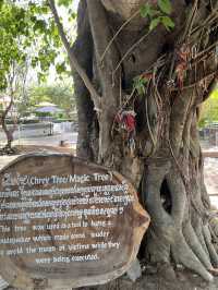 🕊️ Choeung Ek Killing Fields: A Place of Silence, A Plea for Peace ⚖️🌿