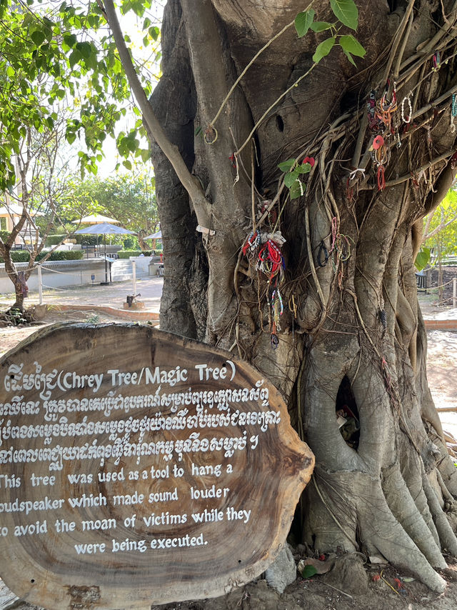 🕊️ Choeung Ek Killing Fields: A Place of Silence, A Plea for Peace ⚖️🌿